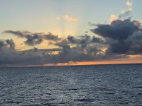 IMG_9263.JPG
