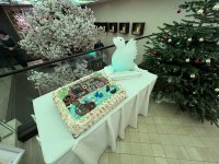 IMG_9268.JPG