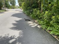 IMG_6150_.jpg