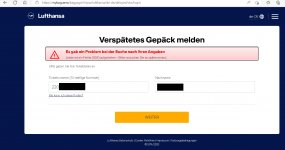 Gepäcksuche.jpg