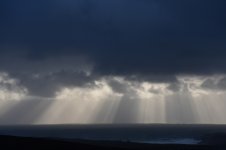 330165069_449863080595125_8388563870493260940_n.jpg 330165069_449863080595125_8388563870493260940_n.jpg