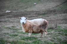 328620087_1162841241080782_9035420971681674177_n.jpg 328620087_1162841241080782_9035420971681674177_n.jpg