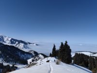 IMG_20230226_123118.jpg