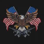 eagle-united-states-american-flag-free-free-vector[1].jpg