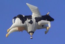 FliegendeKuh.jpg