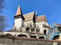 IMG_4849.jpg