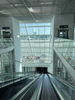 IMG_2226.JPEG