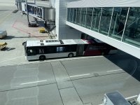 IMG_2247.JPEG