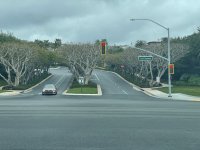 IMG_2710.JPEG