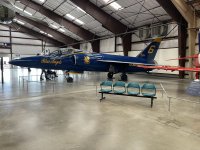 IMG_3096.JPEG
