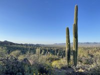 IMG_3586.JPEG