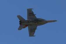 IMG_2731.JPG