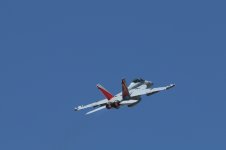 IMG_2746.JPG