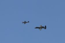 IMG_3017.JPG
