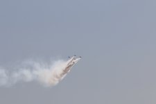 IMG_3230.JPG
