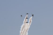 IMG_3231.JPG