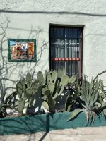 IMG_4032.JPEG