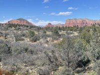 IMG_4117.JPEG