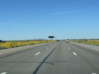 IMG_2649.JPEG