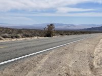 IMG_4629.JPEG