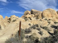 IMG_4752.JPEG