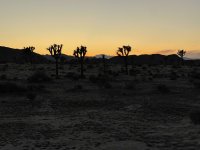 IMG_4894.JPEG