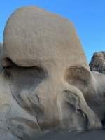 IMG_4909.JPEG