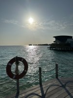 IMG_2313.jpg