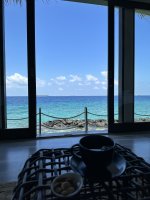 IMG_2467.jpg