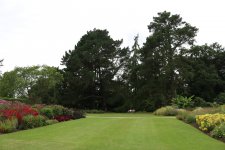 IMG_3502 (Large).JPG