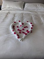PXL_20230418_120747350.jpg
