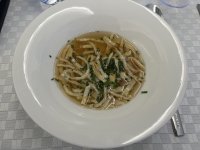 IMG_7173.jpeg IMG_7173.jpeg
