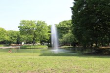 IMG_1650.JPG