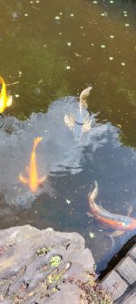 20230429_104410.jpg