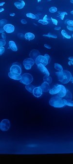 20230430_144244.jpg 20230430_144244.jpg