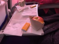 IMG_5537.jpeg