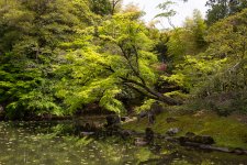 IMG_5833.jpg IMG_5833.jpg