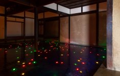 IMG_5950.jpg IMG_5950.jpg