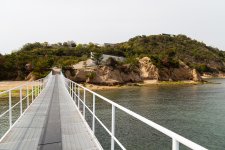 IMG_5981.jpg IMG_5981.jpg