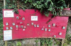 IMG_20230421_155249.jpg IMG_20230421_155249.jpg