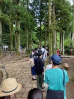 ashigarashimohassenichgesehen - 1 (4).jpeg
