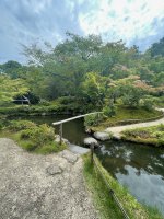 Nara2 - 16.jpeg