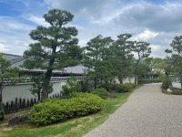 Nara2 - 6.jpeg
