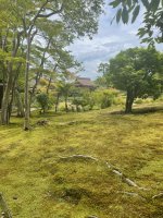 Nara2 - 18.jpeg