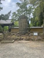 Nara2 - 21.jpeg