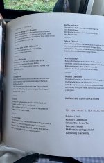 IMG_8339.jpeg