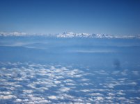 DSC03529.jpg