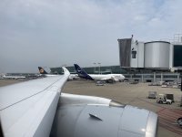 IMG_2800.jpeg
