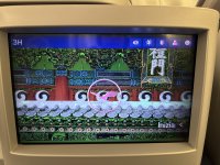 IMG_2958.jpeg