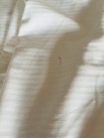 IMG_2907.jpeg